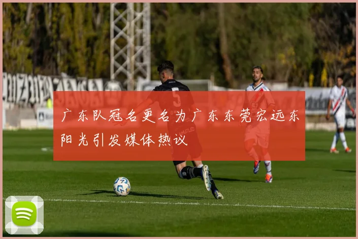 广东队冠名更名为广东东莞宏远东阳光引发媒体热议