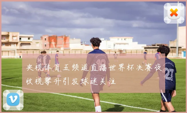 央视体育五频道直播世界杯决赛夜收视攀升引发球迷关注