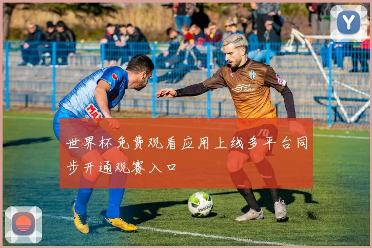 世界杯免费观看应用上线多平台同步开通观赛入口