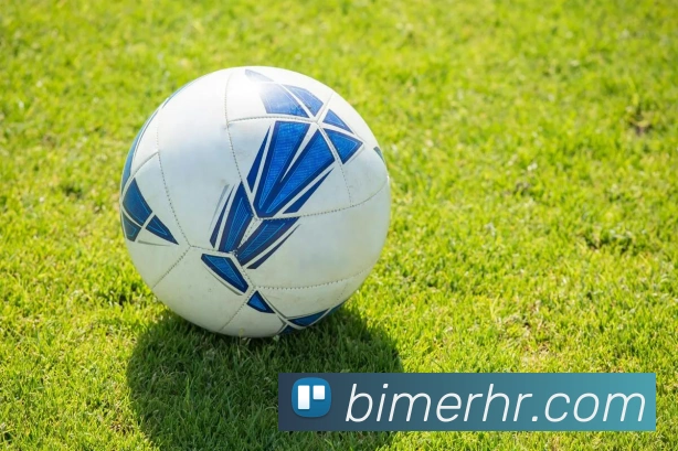 App Interface Preview