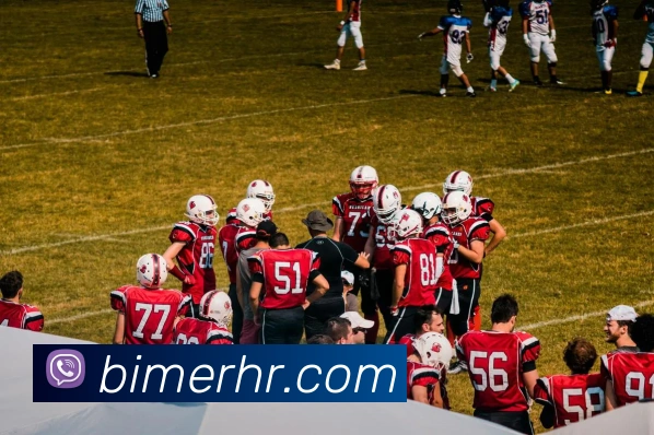 九游j9官网入口免费APP 封面图